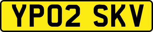 YP02SKV