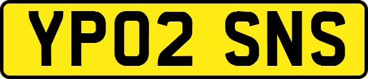 YP02SNS