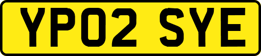 YP02SYE