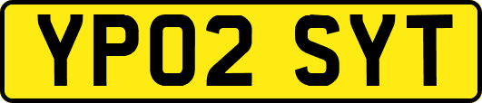 YP02SYT