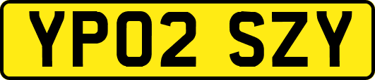 YP02SZY