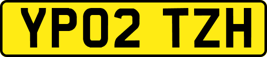 YP02TZH