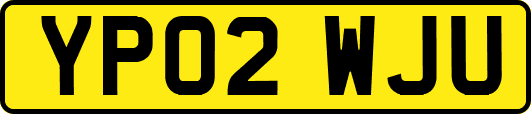 YP02WJU