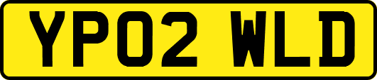 YP02WLD