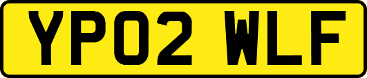 YP02WLF