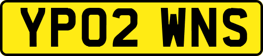 YP02WNS