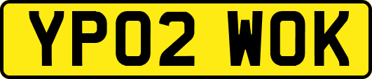 YP02WOK
