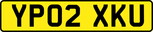 YP02XKU