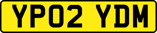 YP02YDM