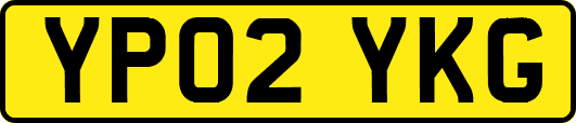 YP02YKG