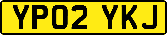 YP02YKJ