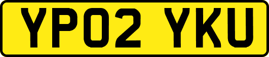 YP02YKU