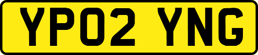 YP02YNG