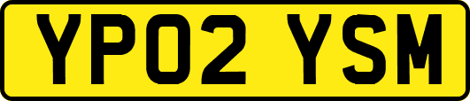 YP02YSM