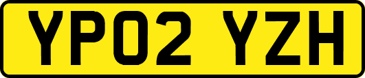 YP02YZH