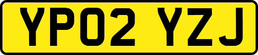YP02YZJ