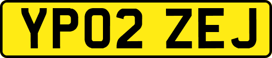 YP02ZEJ
