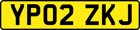 YP02ZKJ