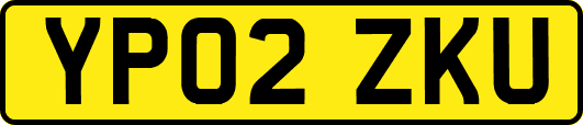 YP02ZKU