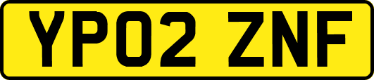 YP02ZNF