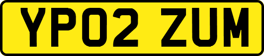 YP02ZUM