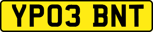 YP03BNT