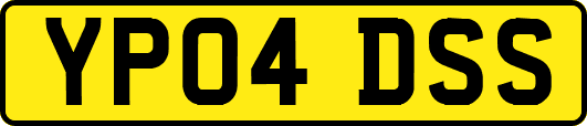 YP04DSS