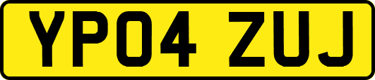 YP04ZUJ