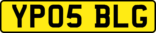 YP05BLG