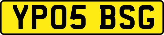 YP05BSG