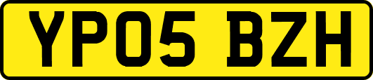 YP05BZH