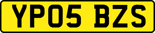 YP05BZS
