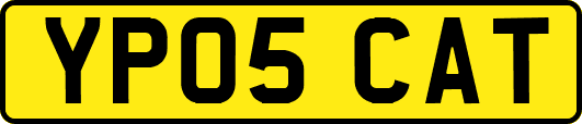 YP05CAT