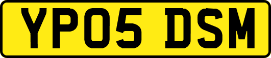 YP05DSM