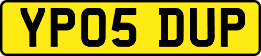 YP05DUP
