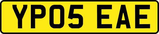 YP05EAE