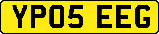 YP05EEG