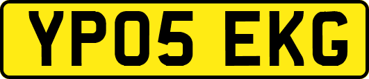 YP05EKG