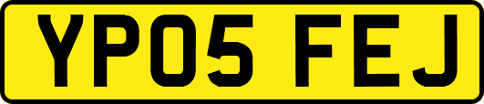 YP05FEJ