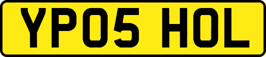 YP05HOL