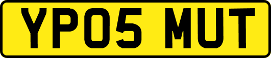 YP05MUT