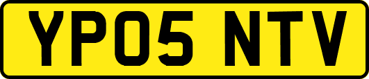 YP05NTV