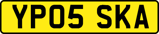YP05SKA