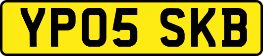 YP05SKB