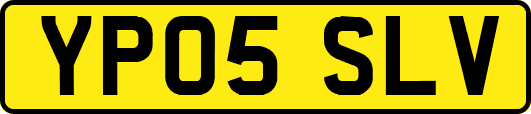 YP05SLV