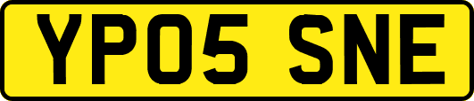 YP05SNE