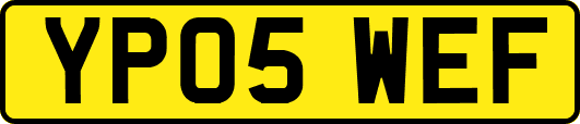 YP05WEF