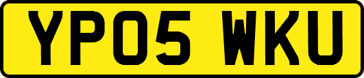 YP05WKU