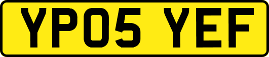 YP05YEF