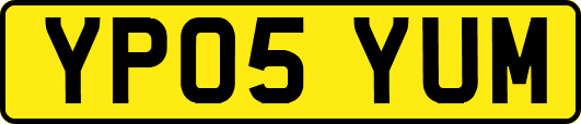 YP05YUM